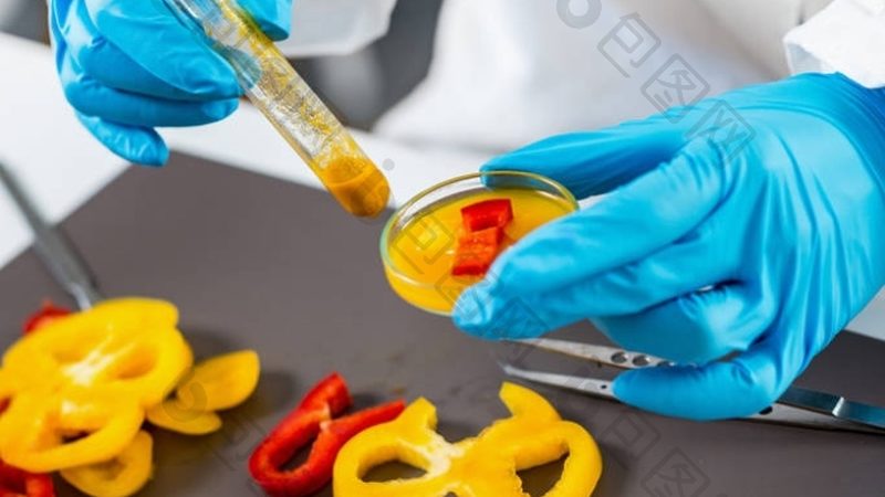 食品招商代理费用到底花在哪